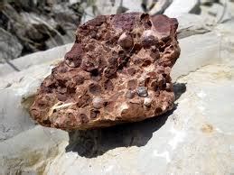 Mineralogista francés Alexis Damour