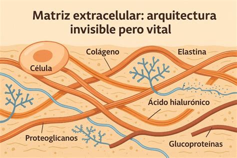 Arte de Hao y Lyserg, mostrando su compleja relación