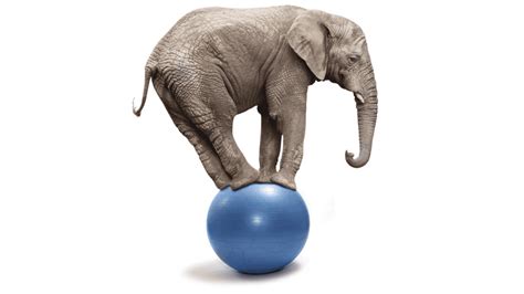 Imagen de un dinosaurio intentando mantener el equilibrio sobre una pelota