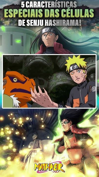 Células de Hashirama Senju