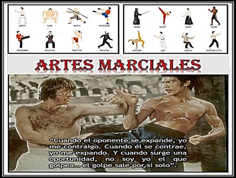 Linaje de artes marciales
