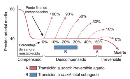 Gráfico que muestra la progresión de la rabia del personaje a lo largo de la historia