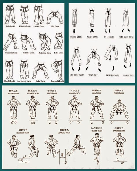 Diagrama de posiciones básicas de Karate