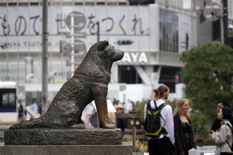 Estación de Shibuya con la estatua de Hachiko