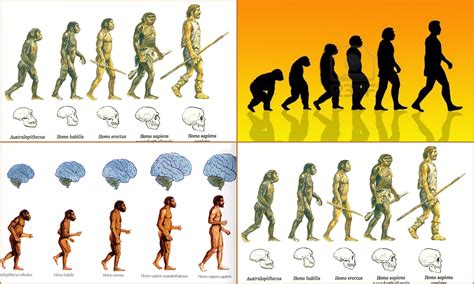 Diagrama de la evolución de Kaneki a lo largo de la serie