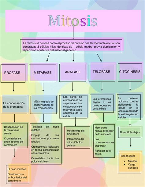 Mapa conceptual que muestra las interconexiones entre el destino original y las nuevas decisiones de la protagonista