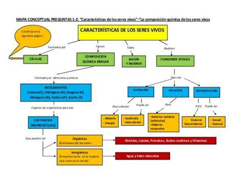 Mapa conceptual de las características de las fundas protectoras