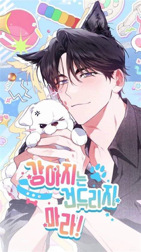 manhwa no toques al perro portada