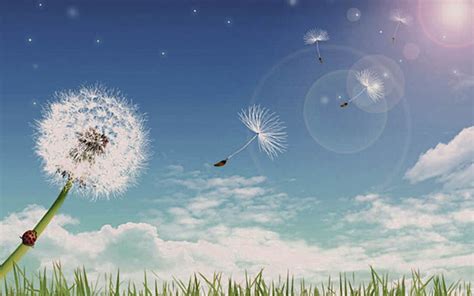 Espada de Viento de Elemento Viento