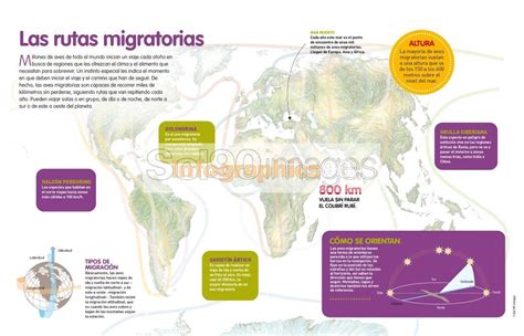 Infografía sobre las posibles rutas de finalización del juego