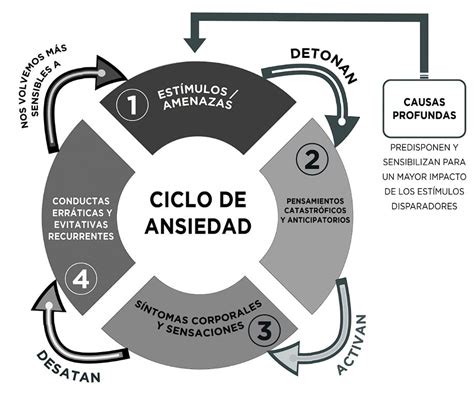 Infografía explicando el ciclo de la ansiedad al ser dejado en visto