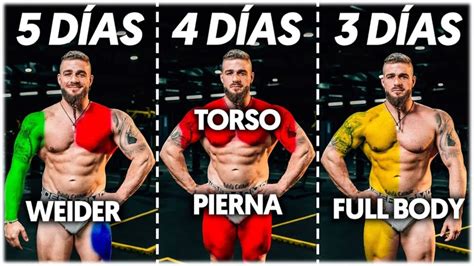 Gráfico circular mostrando los diferentes objetivos de entrenamiento: ganar músculo, ganar fuerza, perder grasa, mejorar movilidad.