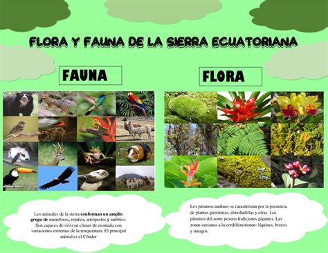 Detalle de la flora y fauna de la Sierra Gorda