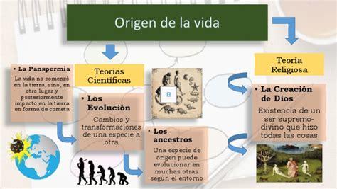 Diagrama que explica el origen del nombre