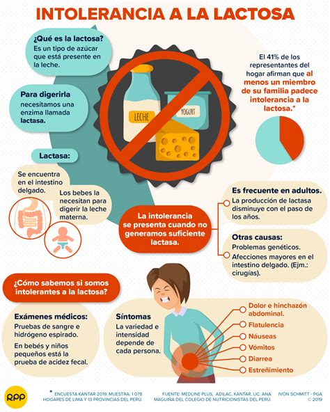 Infografía sobre la intolerancia a la lactosa en gatos