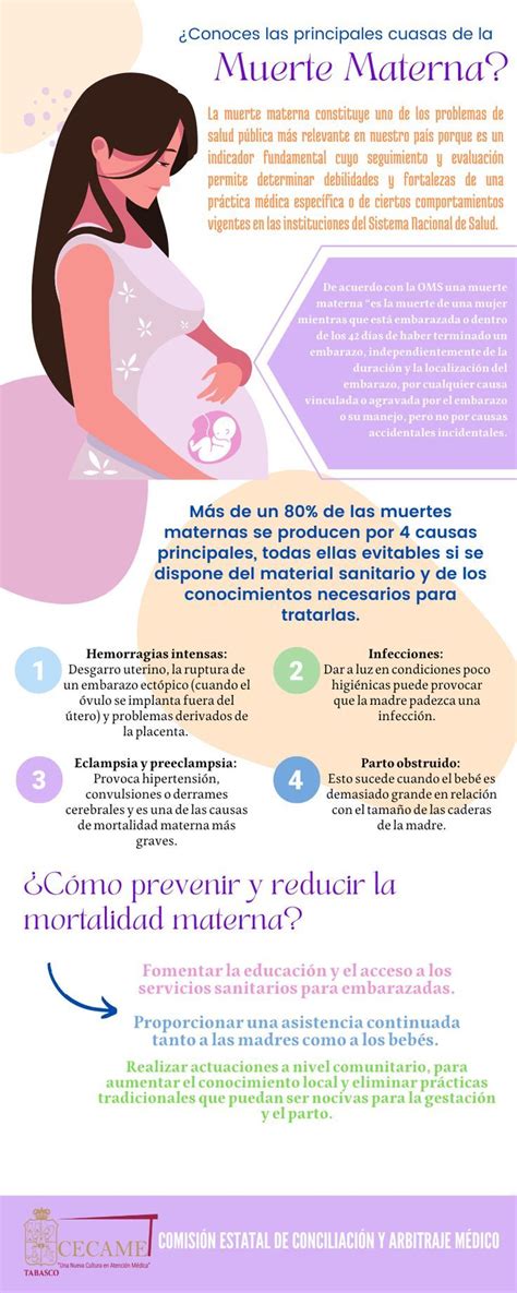 Infografía sobre las causas de mortalidad materna