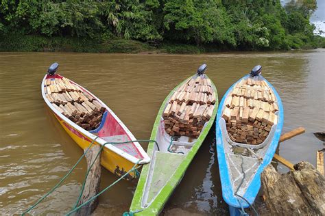 Luffy construyendo una balsa en Amazon Lily
