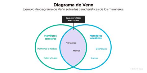 Diagrama de Venn mostrando las diferencias y similitudes entre dos personalidades