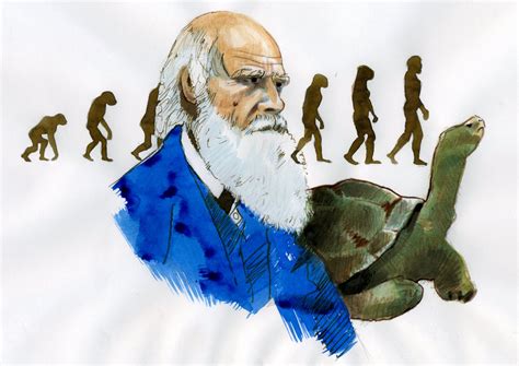 Ilustración de Charles Darwin