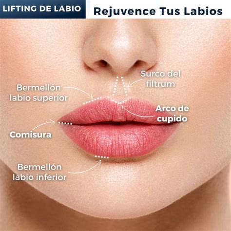 Esquema de los labios encontrándose en un beso
