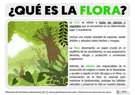 Flora, la bruja, en su mansión