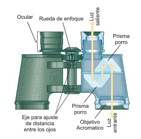 Diagrama de cómo funcionan los binoculares