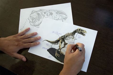 Diseño conceptual de Wolverine