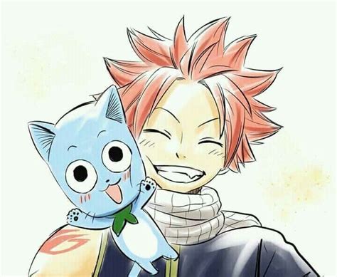 Ilustración de Natsu y Happy volando en el cielo de Fairy Tail