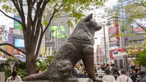 Estátua de Hachiko em Shibuya, Tóquio