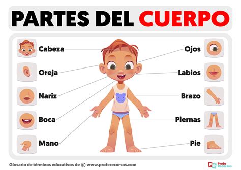 Buggy separando las partes de su cuerpo