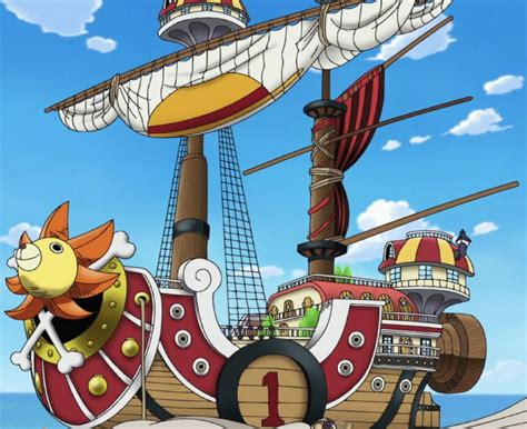 El Thousand Sunny y sus características principales