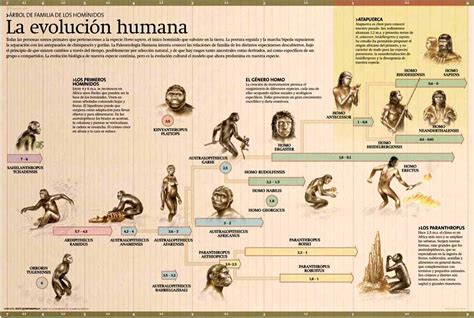 Diagrama de la evolución del género Mahou Shoujo