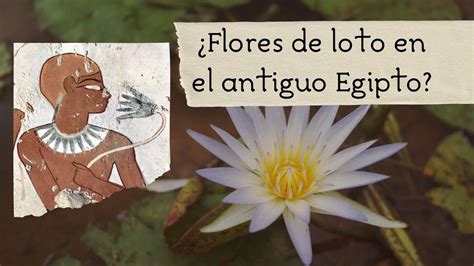 Representación de la flor de loto en jeroglíficos egipcios