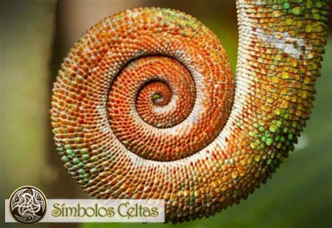 Simbolismo de la espiral en diferentes culturas