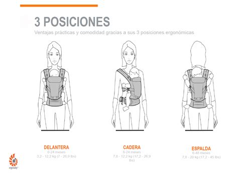 Esquema de las correas acolchadas y el soporte ergonómico de la mochila