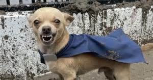 Connie llorando frente a las ruinas de su hogar