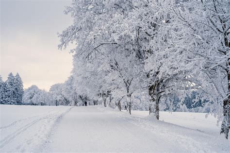 Natsukira entrenando en la nieve
