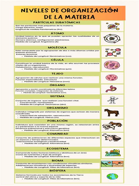 Infografía de niveles de HEAT