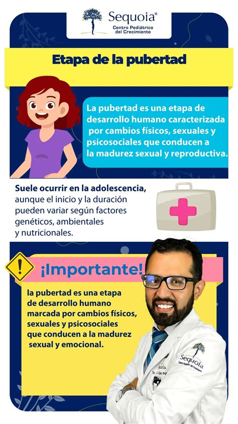 Infografía sobre las etapas de la pubertad y el desarrollo sexual