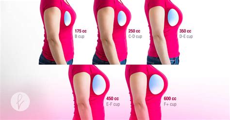 Comparación visual del tamaño del busto entre Erza y Lucy