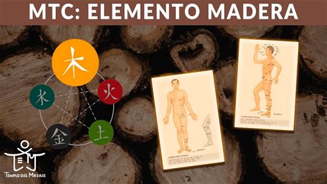 Diferentes usuarios de Elemento Madera