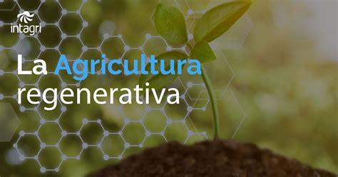 Agricultura regenerativa en acción