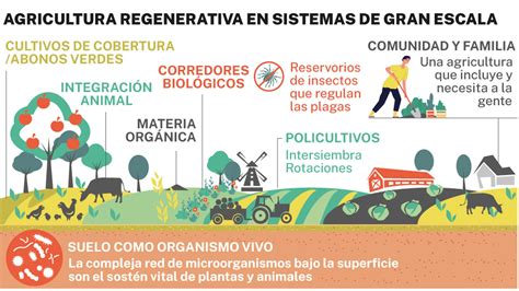Gráfico comparando agricultura convencional y regenerativa