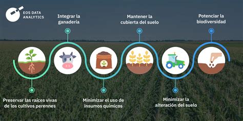 Infografía sobre los beneficios de la agricultura regenerativa