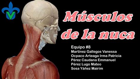 Anatomía de un Titán: punto débil en la nuca