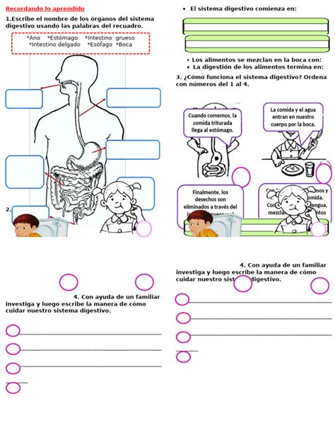 Infografía sobre el recorrido de los Sombrero de Paja