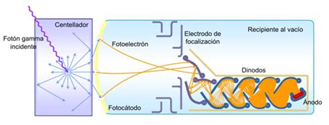 Diagrama que muestra cómo la cámara detecta fotones a través del tejido