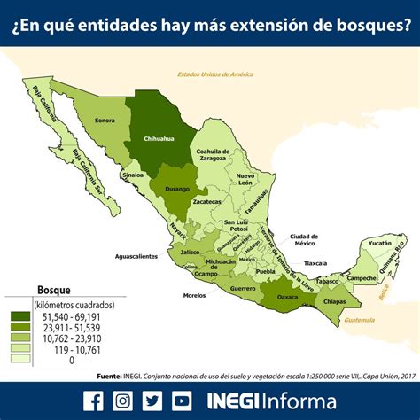 Mapa del Bosque de la Muerte