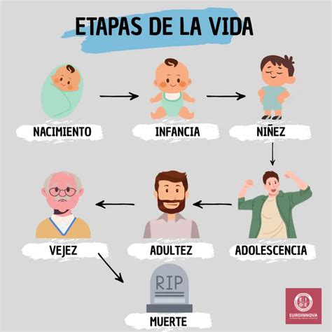 Ilustración de Nami en diferentes etapas de su vida.