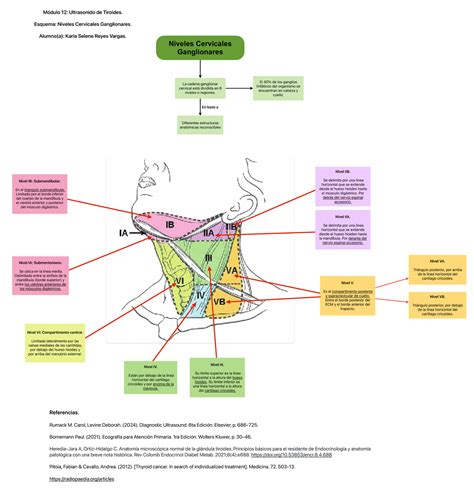 Esquema de niveles de otaku
